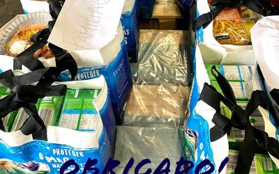 Rotary Club do Barreiro e FRP apoiam famílias carenciadas