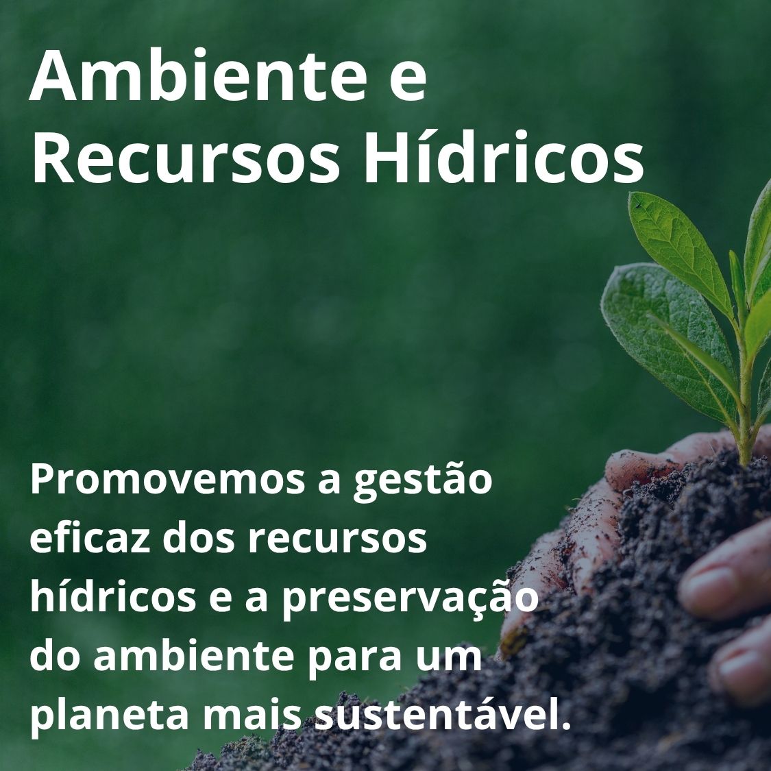 Ambiente e Recursos Hídricos
